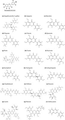 Therapeutic potential of flavonoids from traditional Chinese medicine in pancreatic cancer treatment